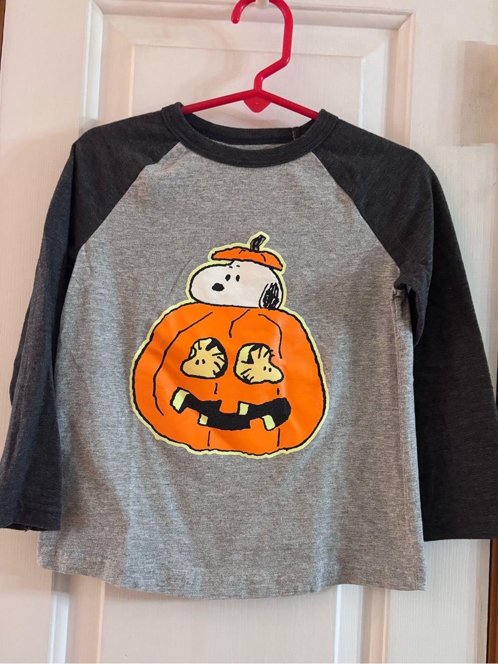 Peanuts Snoopy Pumpkin Raglan Tee - Gray & Dark Gray 3T Toddler Jumping Beans